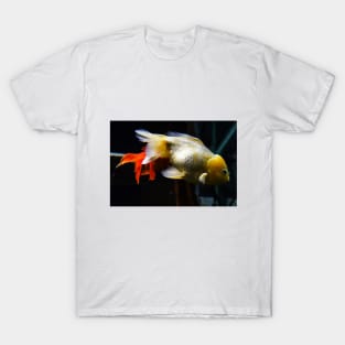 Goldfish T-Shirt